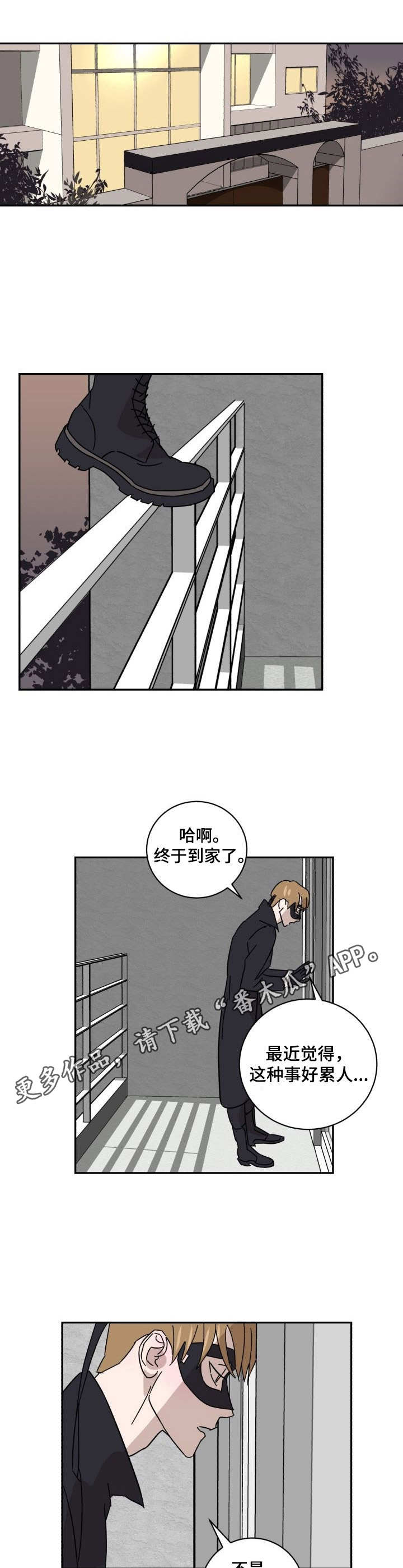 《怪盗与侦探》第15章调查 第9页