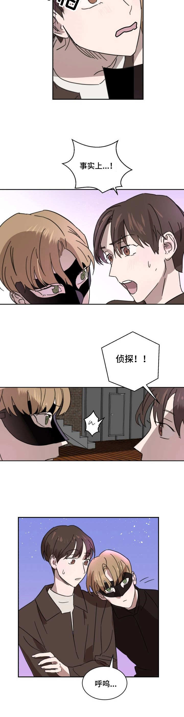 《怪盗与侦探》第3章侠盗 第10页