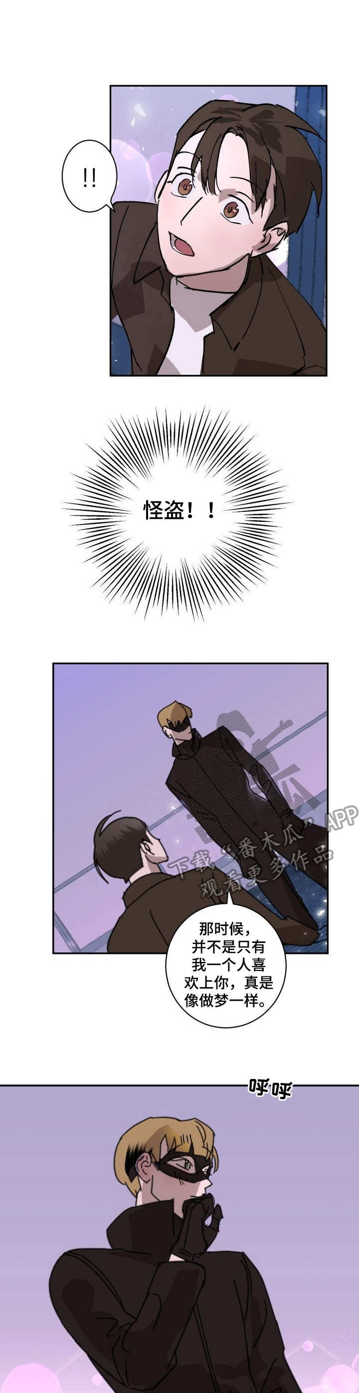 《怪盗与侦探》第3章侠盗 第3页