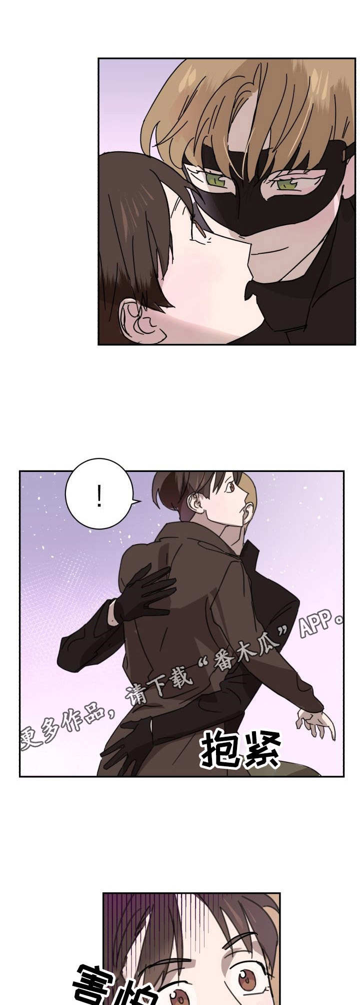 《怪盗与侦探》第3章侠盗 第9页