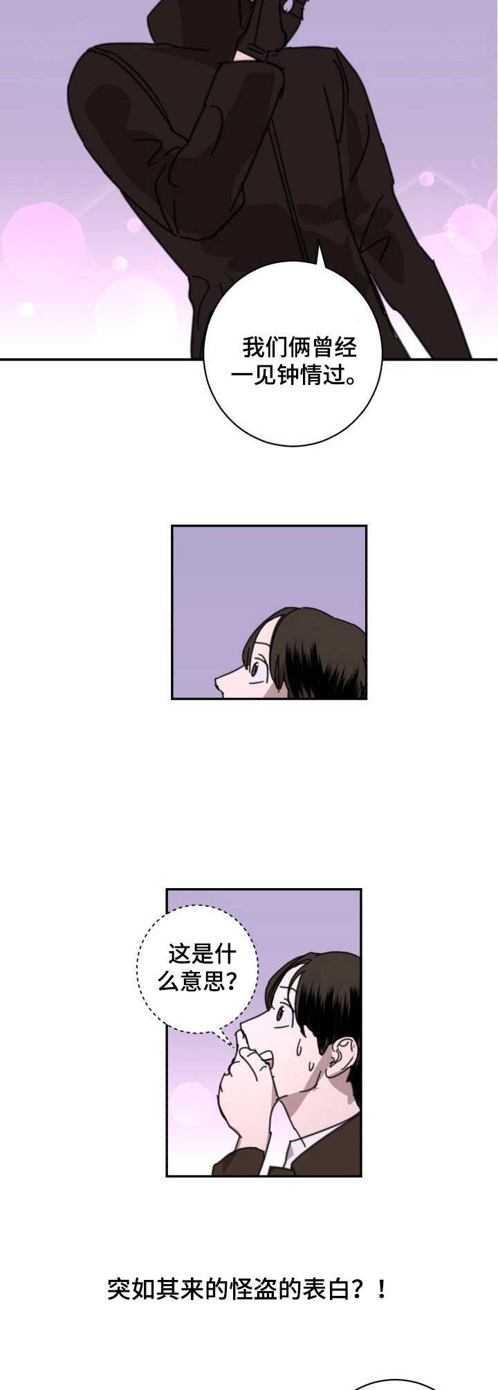 《怪盗与侦探》第1章委托 第3页