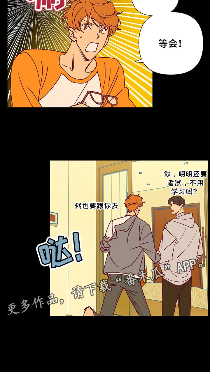 《未来的生活》第90章找房子 第12页