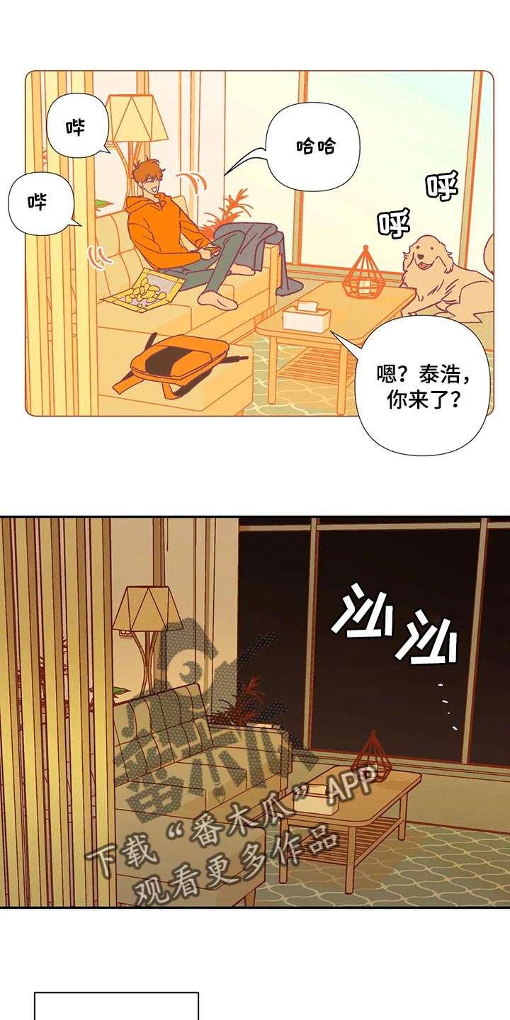 《未来的生活》第84章代价 第4页