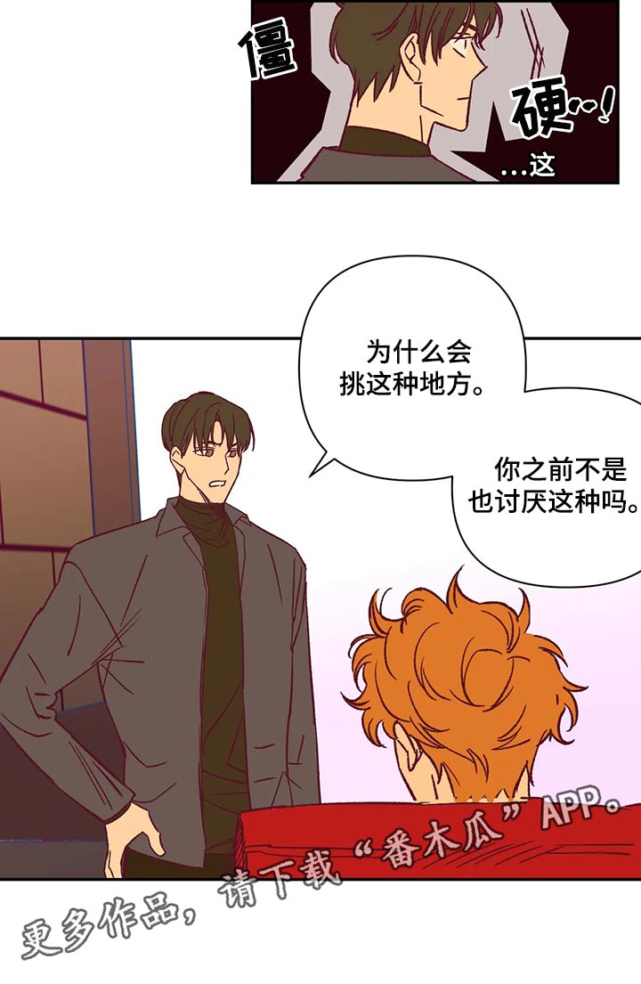 《未来的生活》第74章玫瑰 第12页
