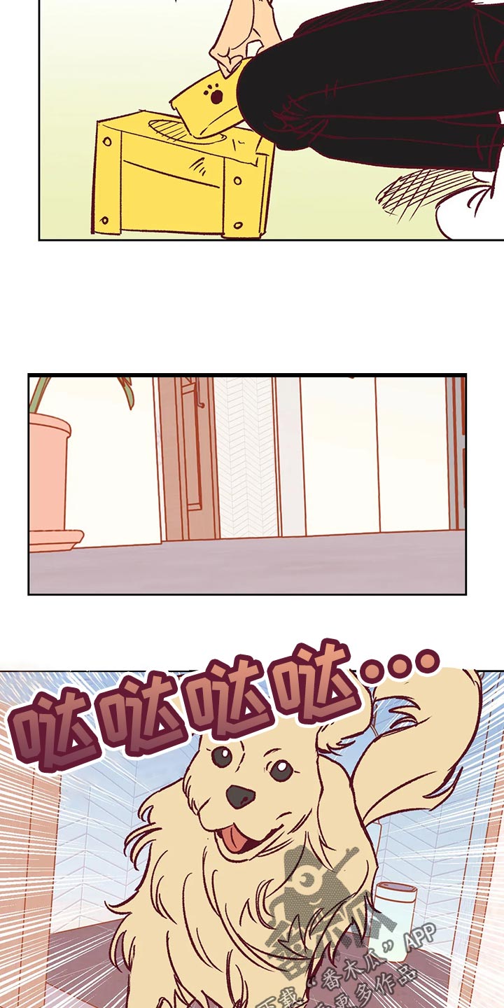 《未来的生活》第58章诡异的气氛 第11页