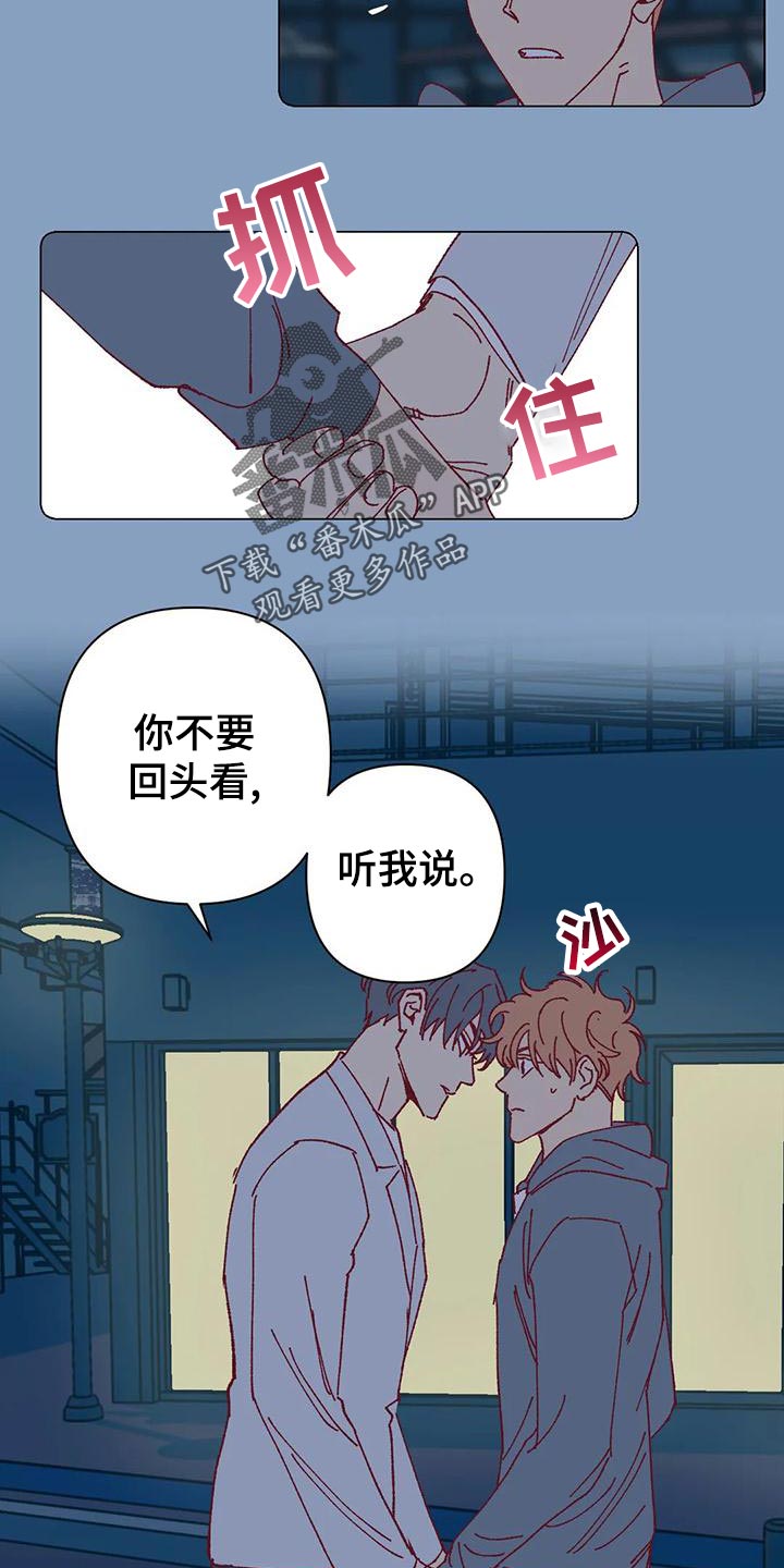 《未来的生活》第50章应付条件 第17页