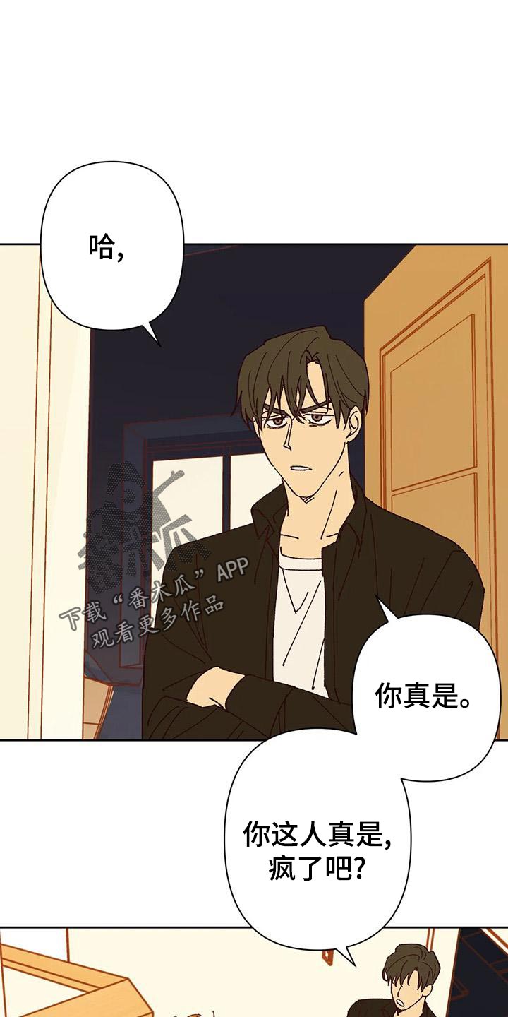 《未来的生活》第44章提议 第1页