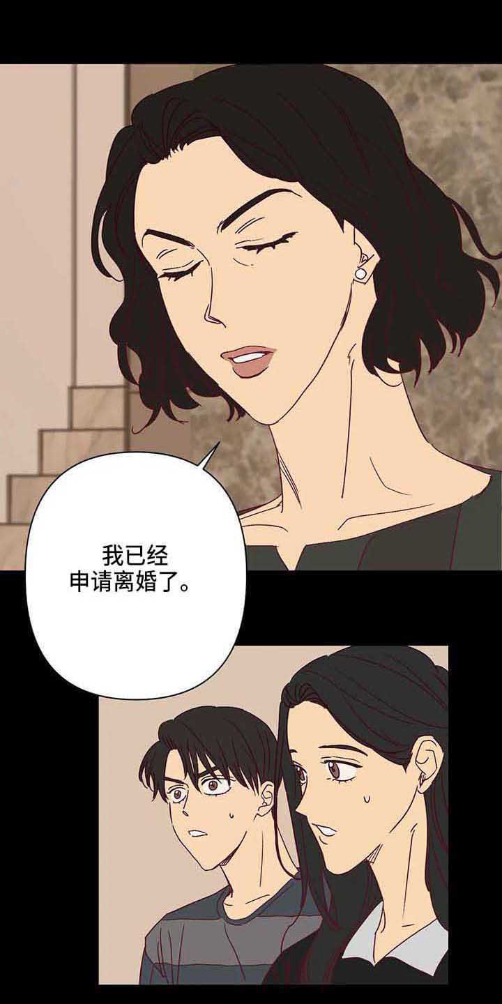 《未来的生活》第29章离婚 第15页