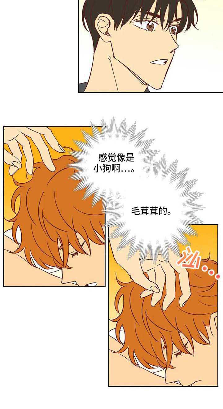 《未来的生活》第22章冷漠 第14页