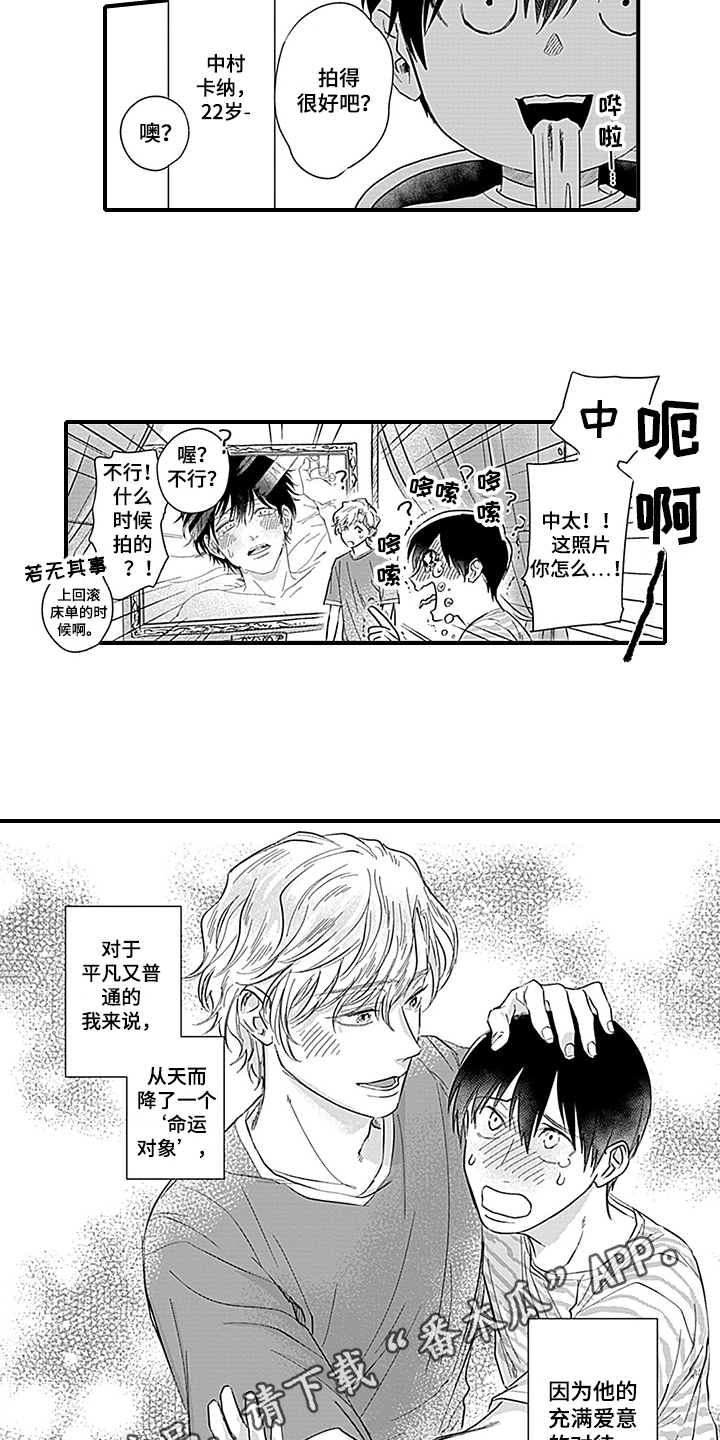 《命运来到我身边》第19章天降命运【完结】 第12页