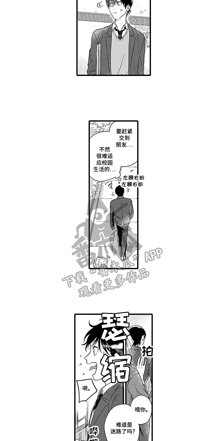《命运来到我身边》第21章【番外】初识 第6页