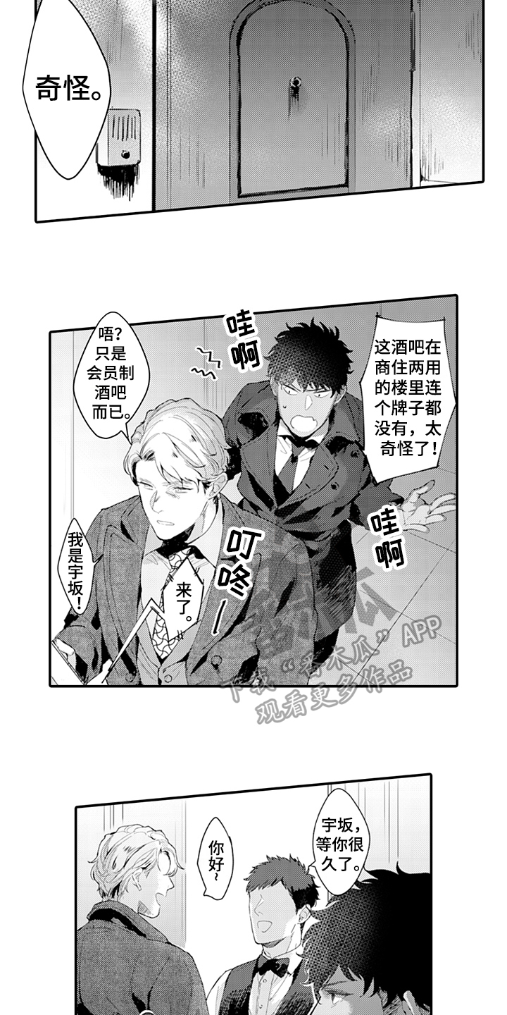 《秘密模特》第18章酒吧 第12页