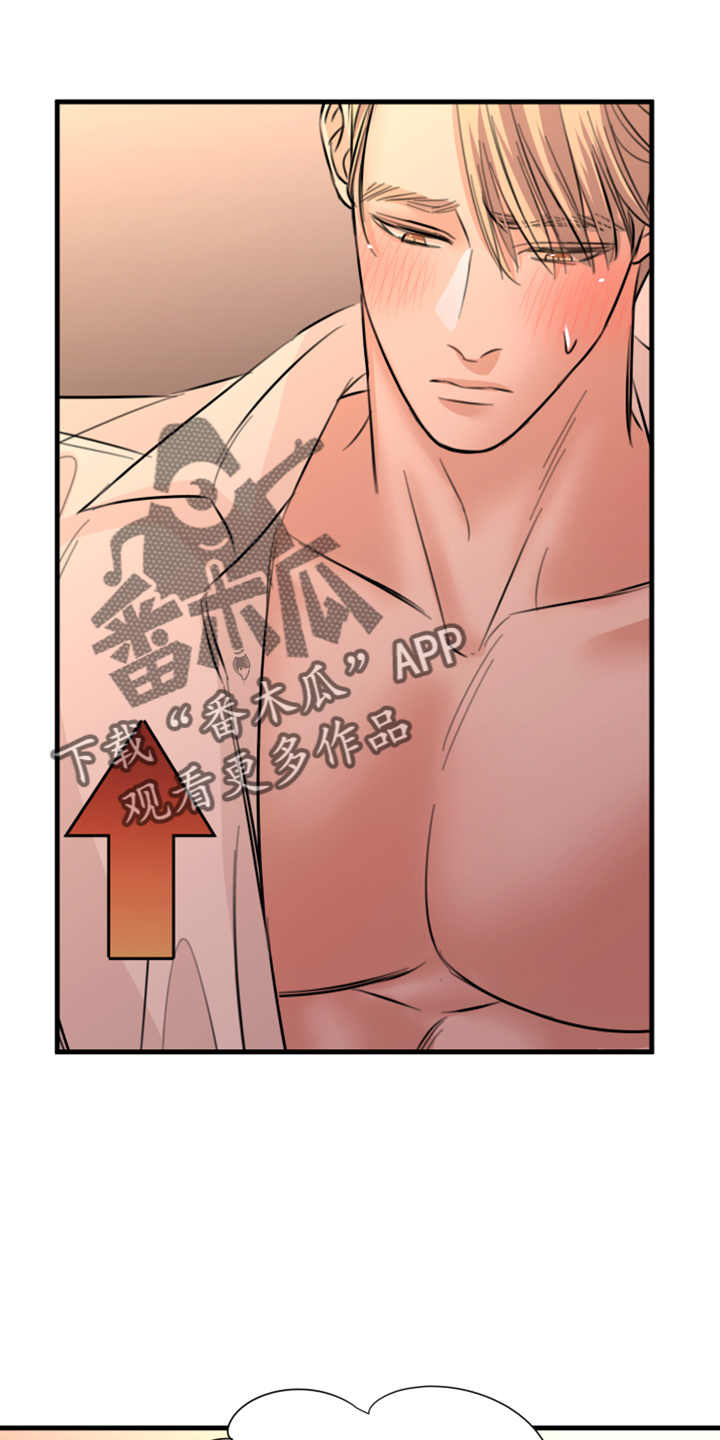 《复仇恋情》第57章五年后 第11页