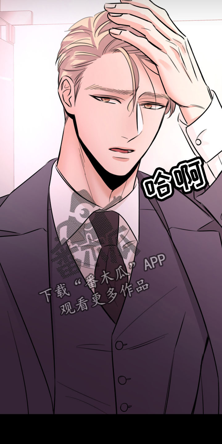 《复仇恋情》第53章好玩的 第26页
