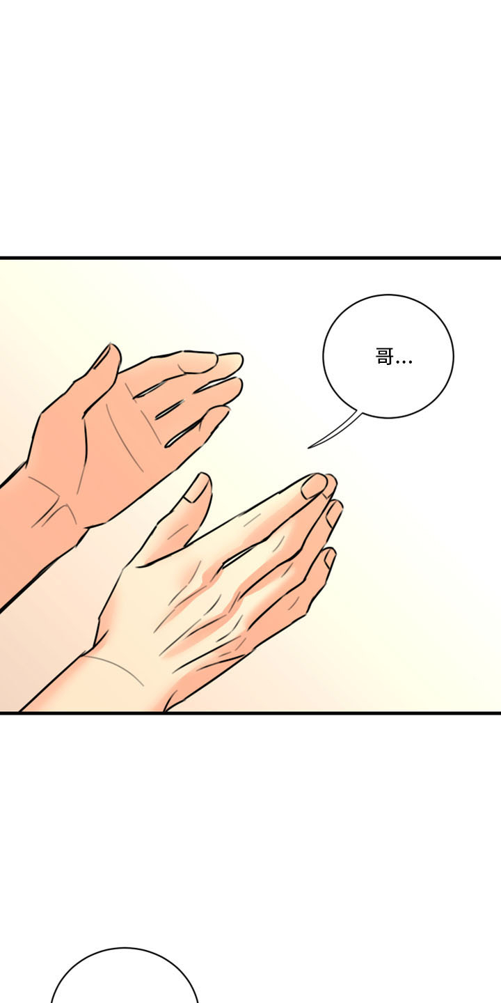 《复仇恋情》第55章没想过 第2页