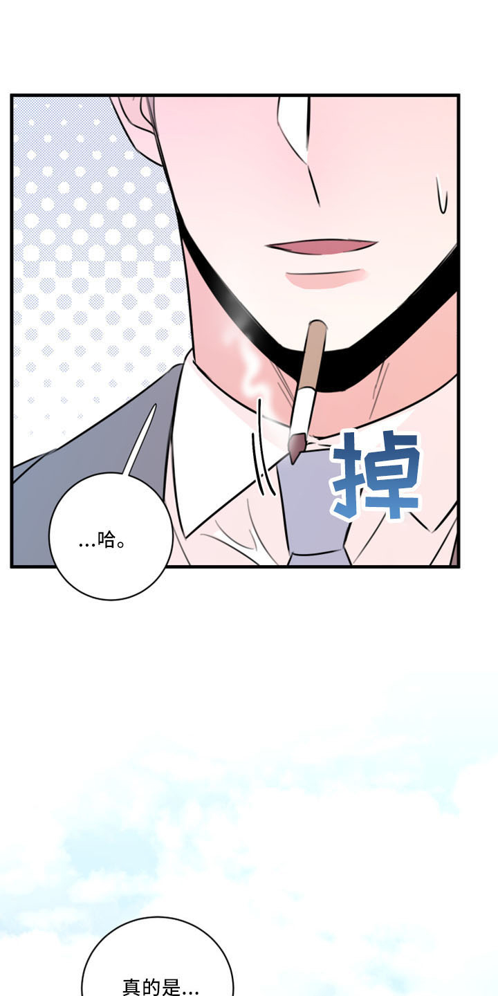 《复仇恋情》第55章没想过 第37页