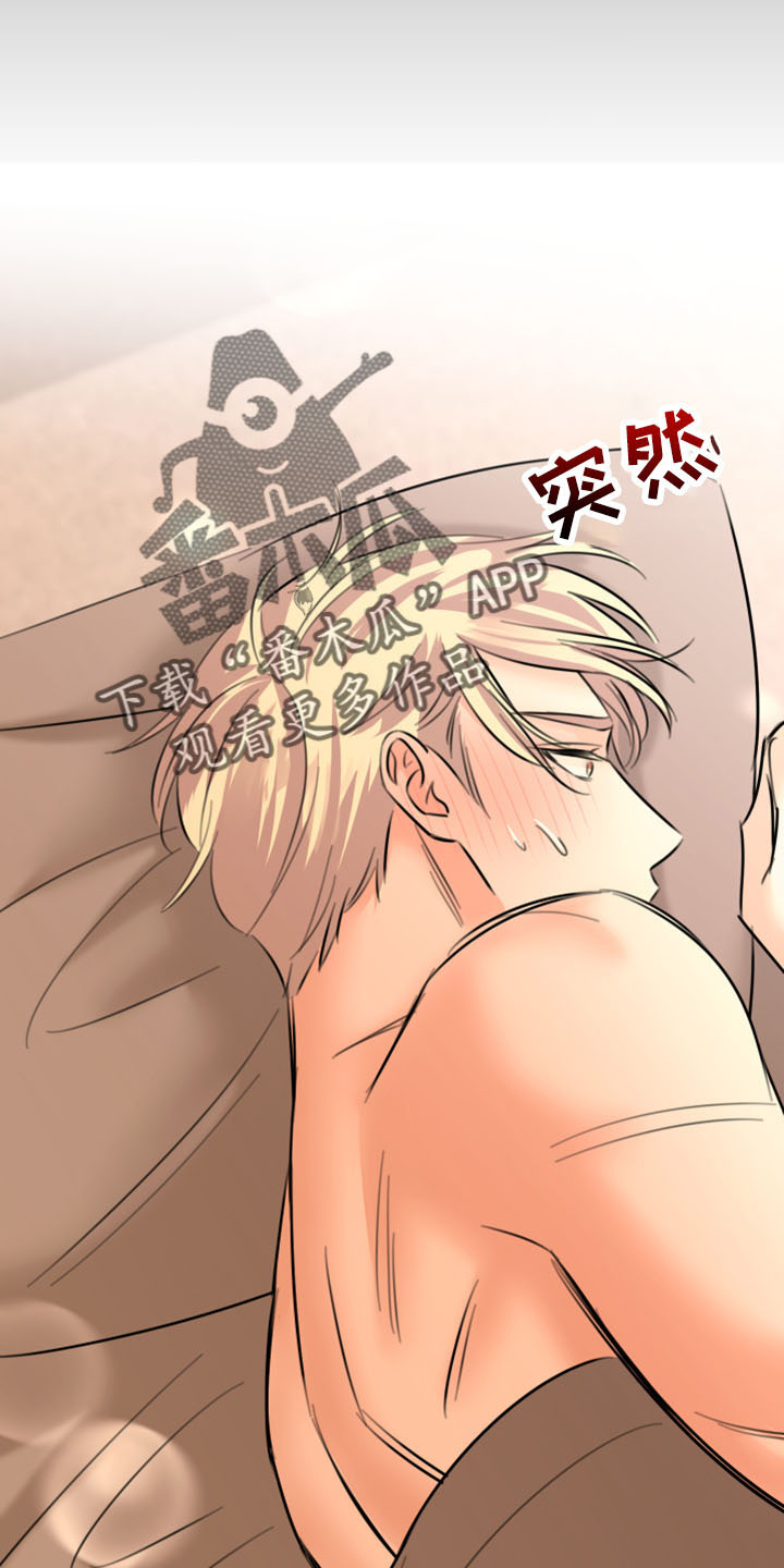 《复仇恋情》第54章威胁 第23页