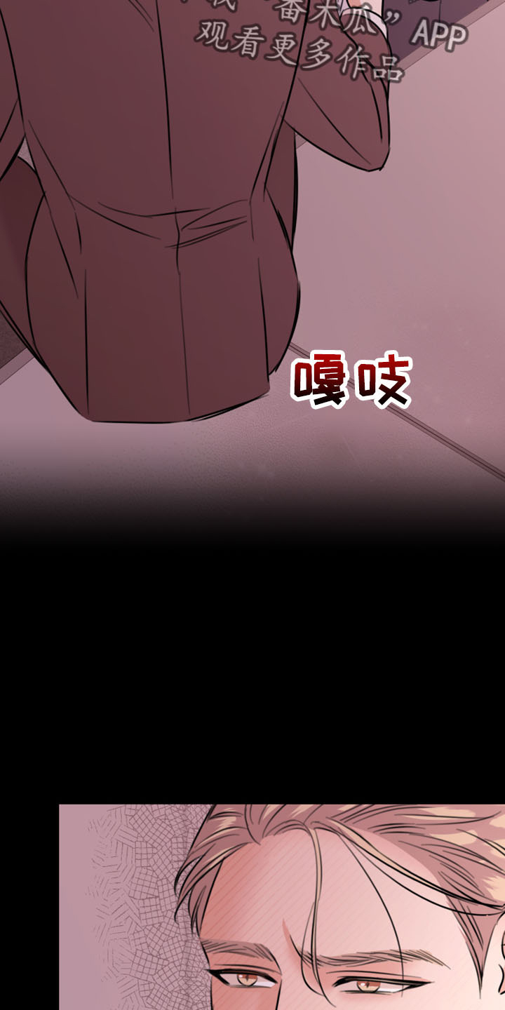 《复仇恋情》第54章威胁 第5页