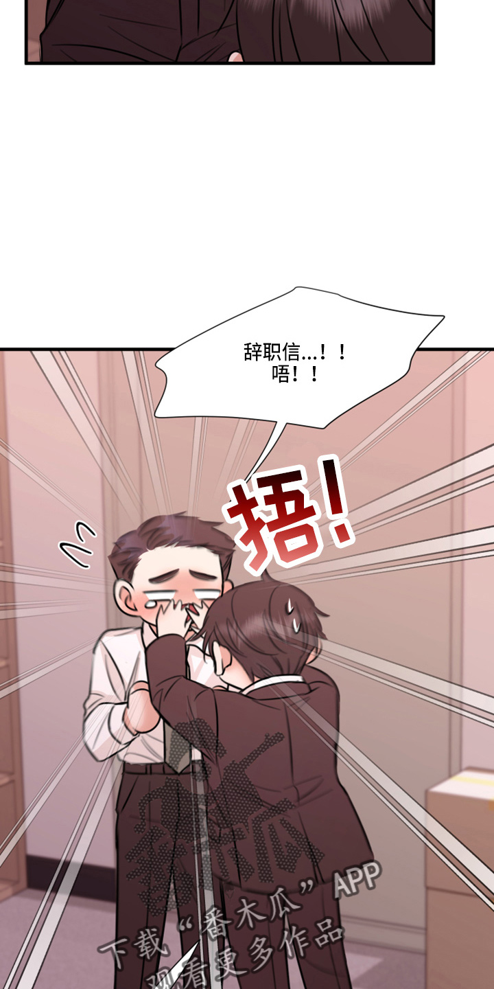 《复仇恋情》第48章来报仇 第26页