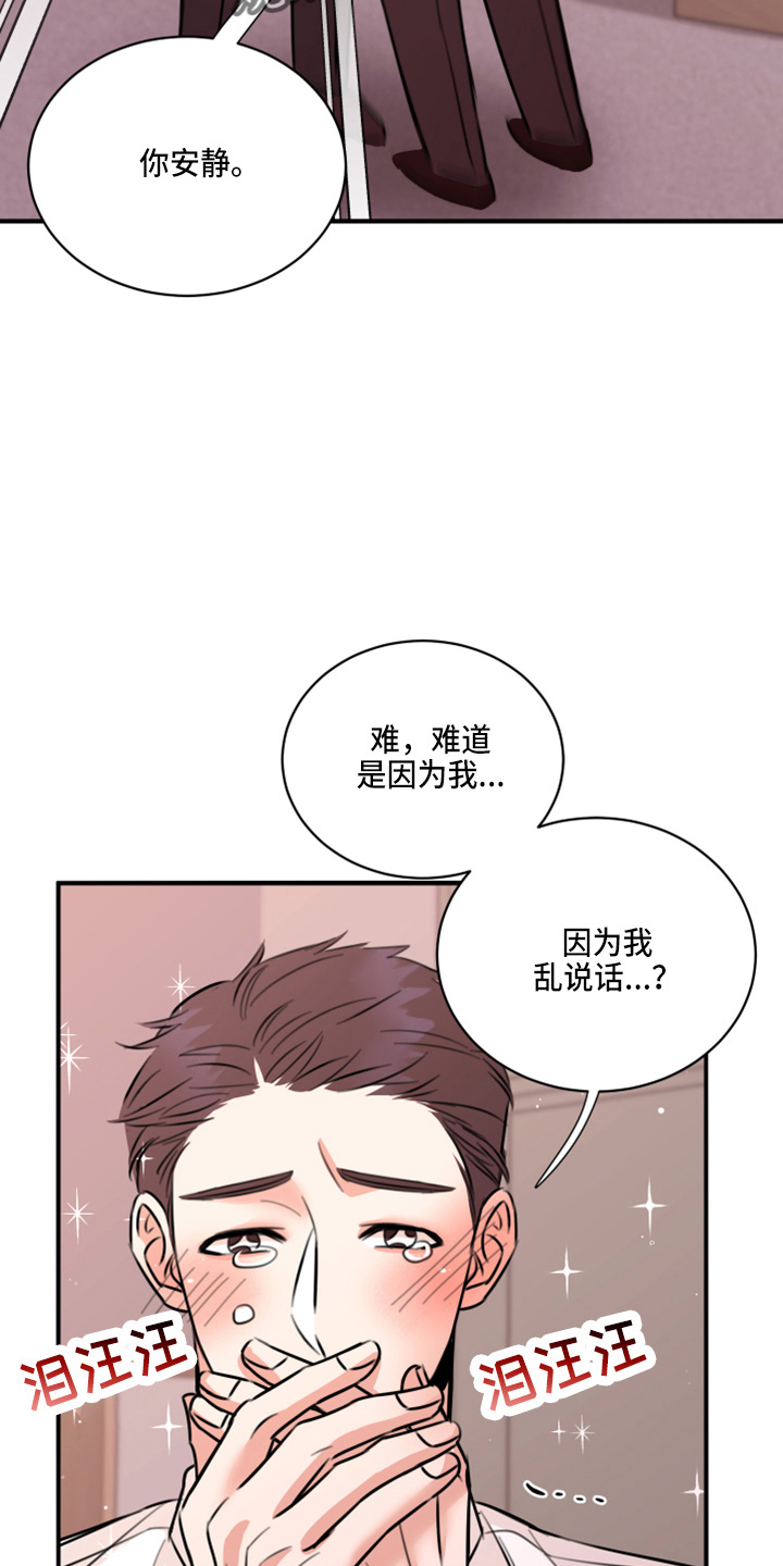 《复仇恋情》第48章来报仇 第27页
