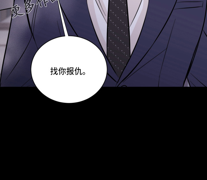 《复仇恋情》第48章来报仇 第37页