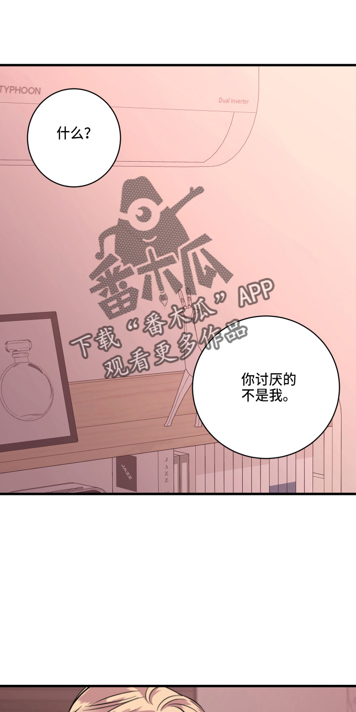 《复仇恋情》第50章我知道 第20页