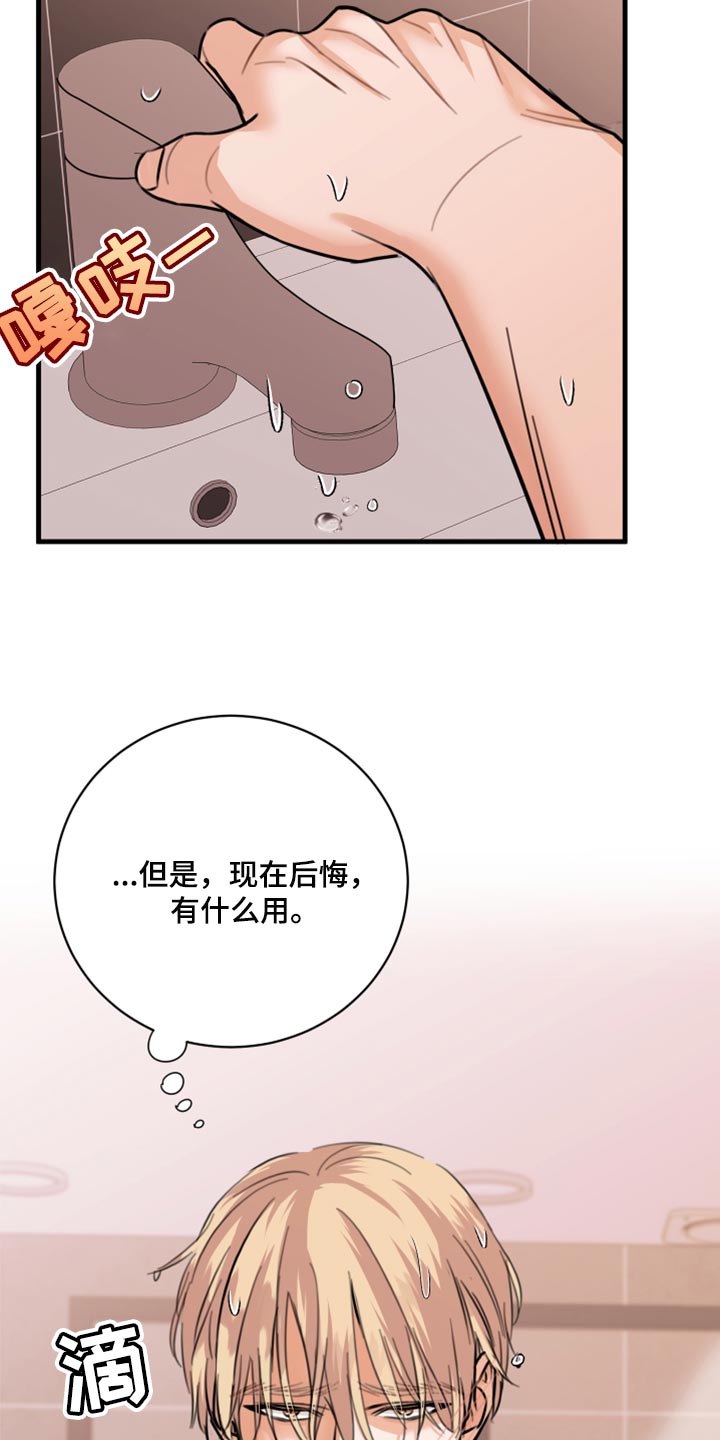 《复仇恋情》第45章利用 第16页