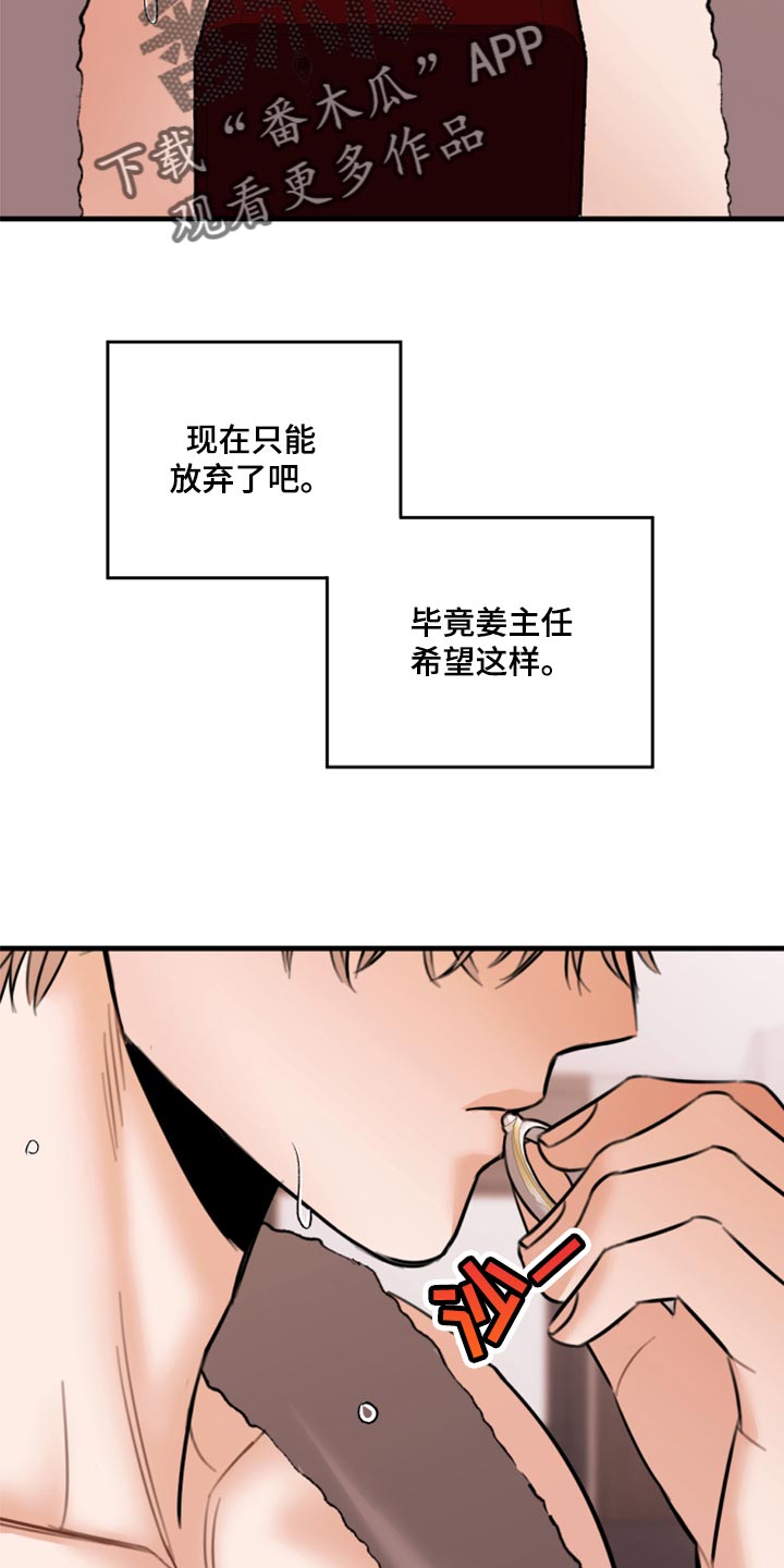 《复仇恋情》第45章利用 第21页