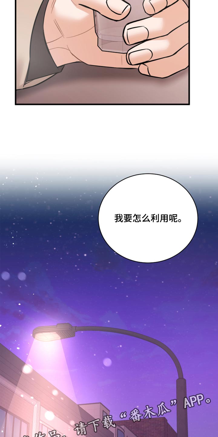 《复仇恋情》第45章利用 第29页