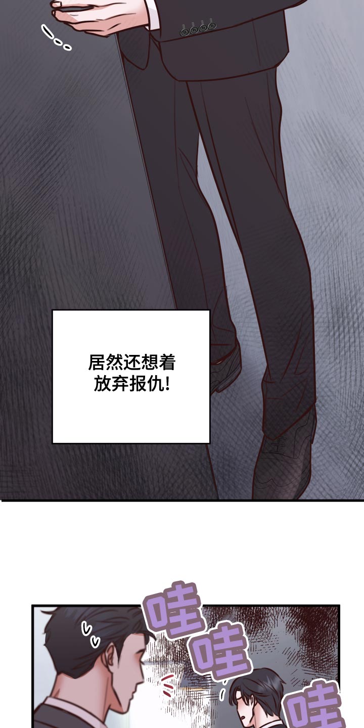 《复仇恋情》第39章好消息 第13页