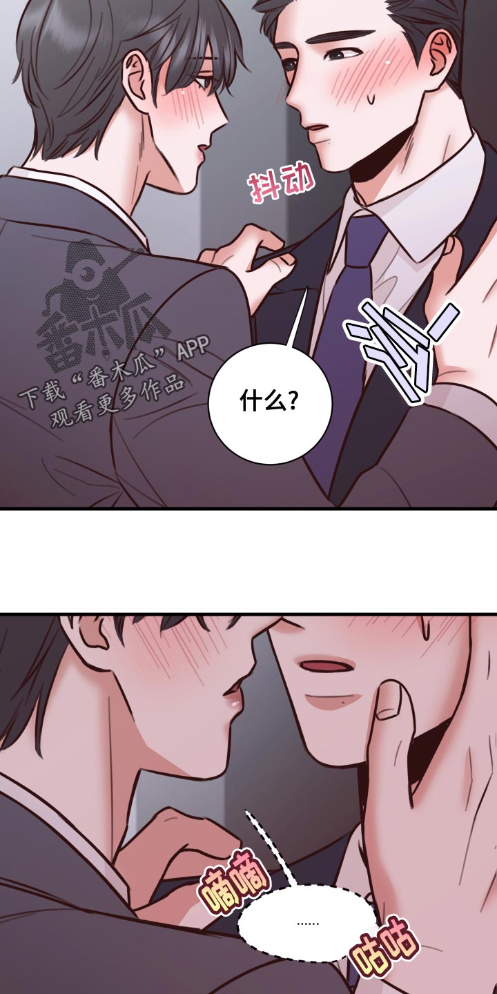 《复仇恋情》第39章好消息 第23页