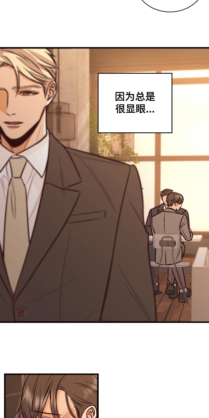 《复仇恋情》第38章人选 第11页