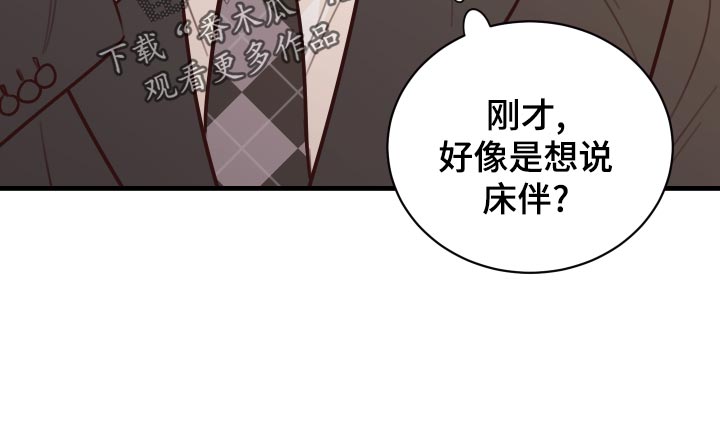 《复仇恋情》第38章人选 第17页