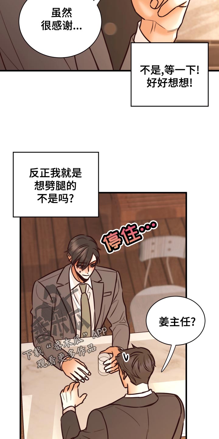 《复仇恋情》第38章人选 第29页