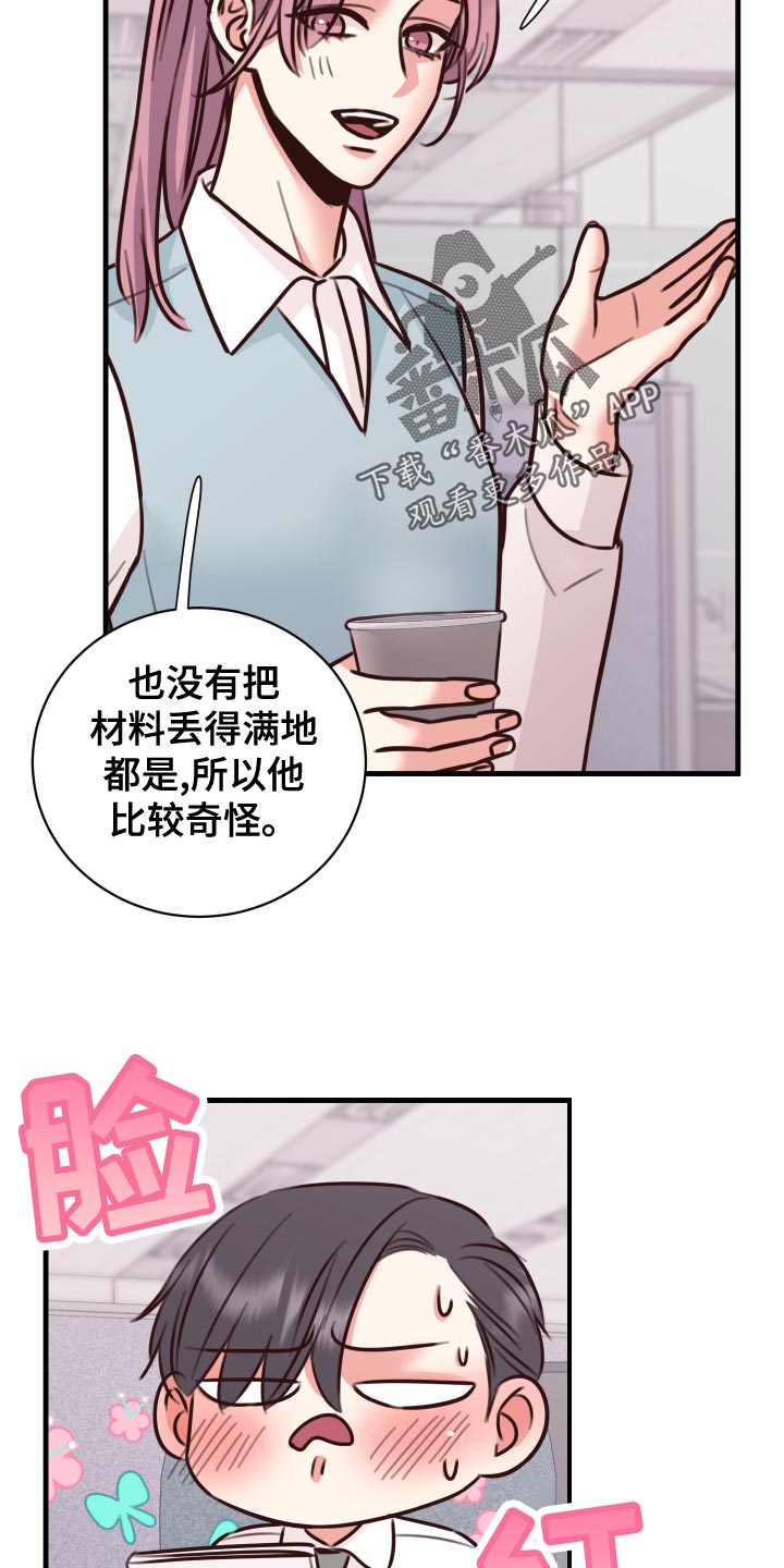 《复仇恋情》第38章人选 第4页