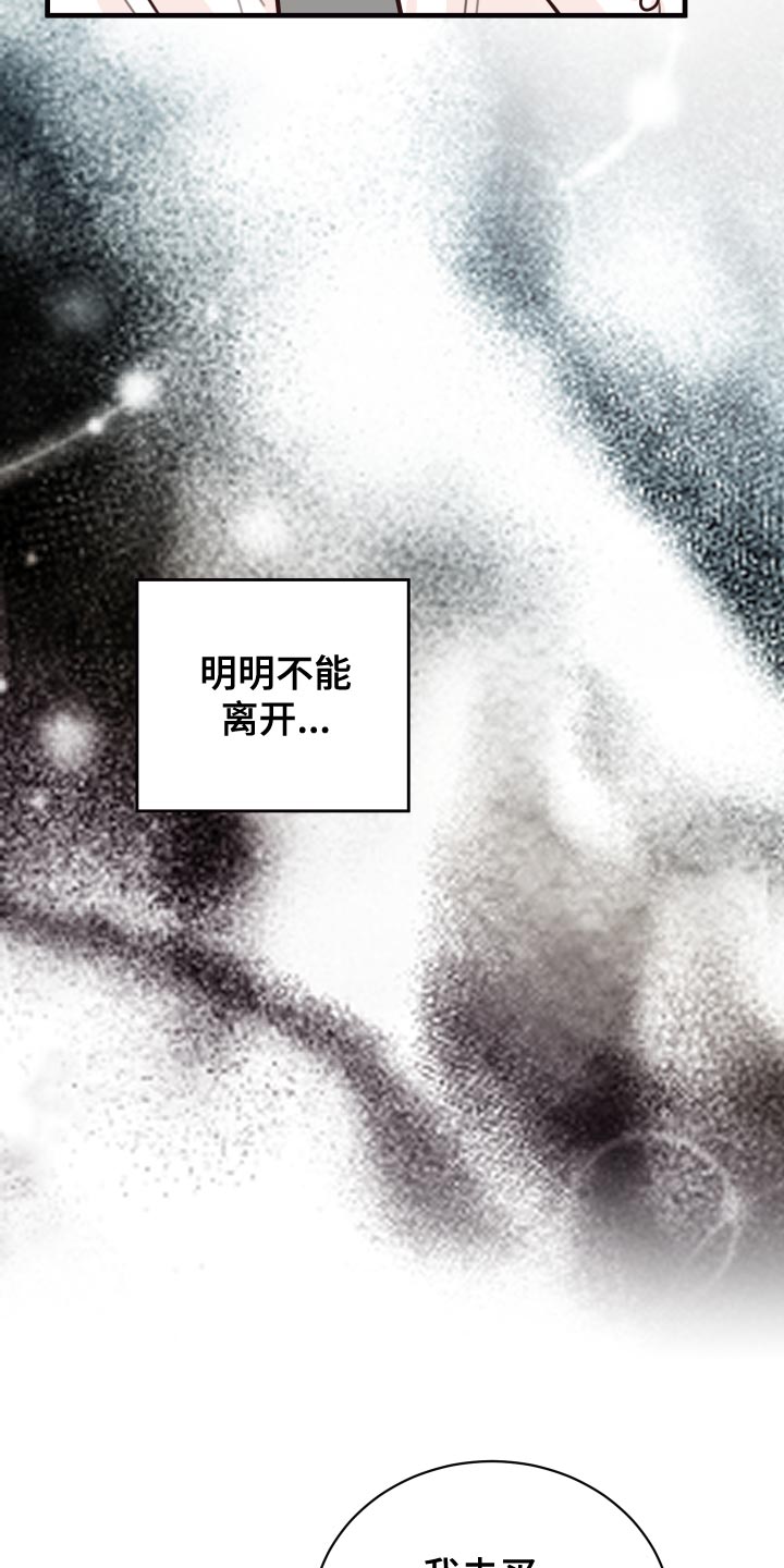 《复仇恋情》第38章人选 第8页