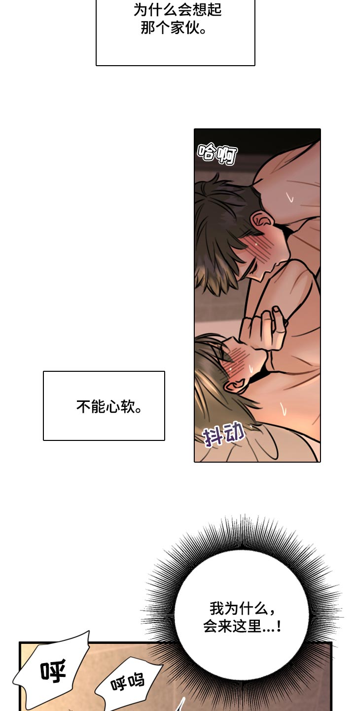 《复仇恋情》第40章不能心软 第21页