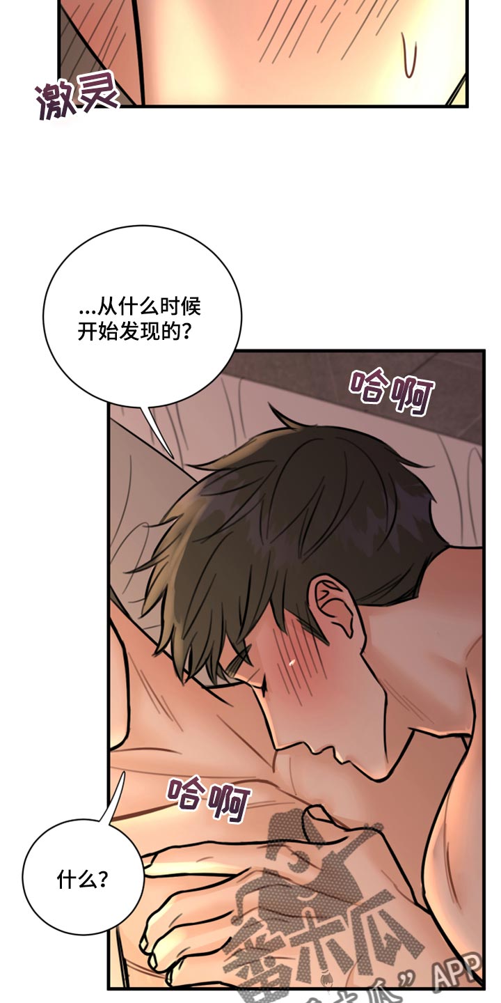 《复仇恋情》第40章不能心软 第23页