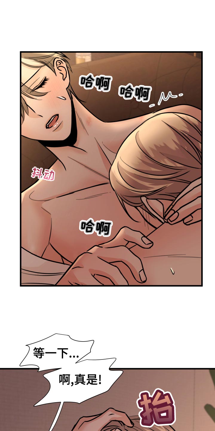 《复仇恋情》第37章上钩 第13页