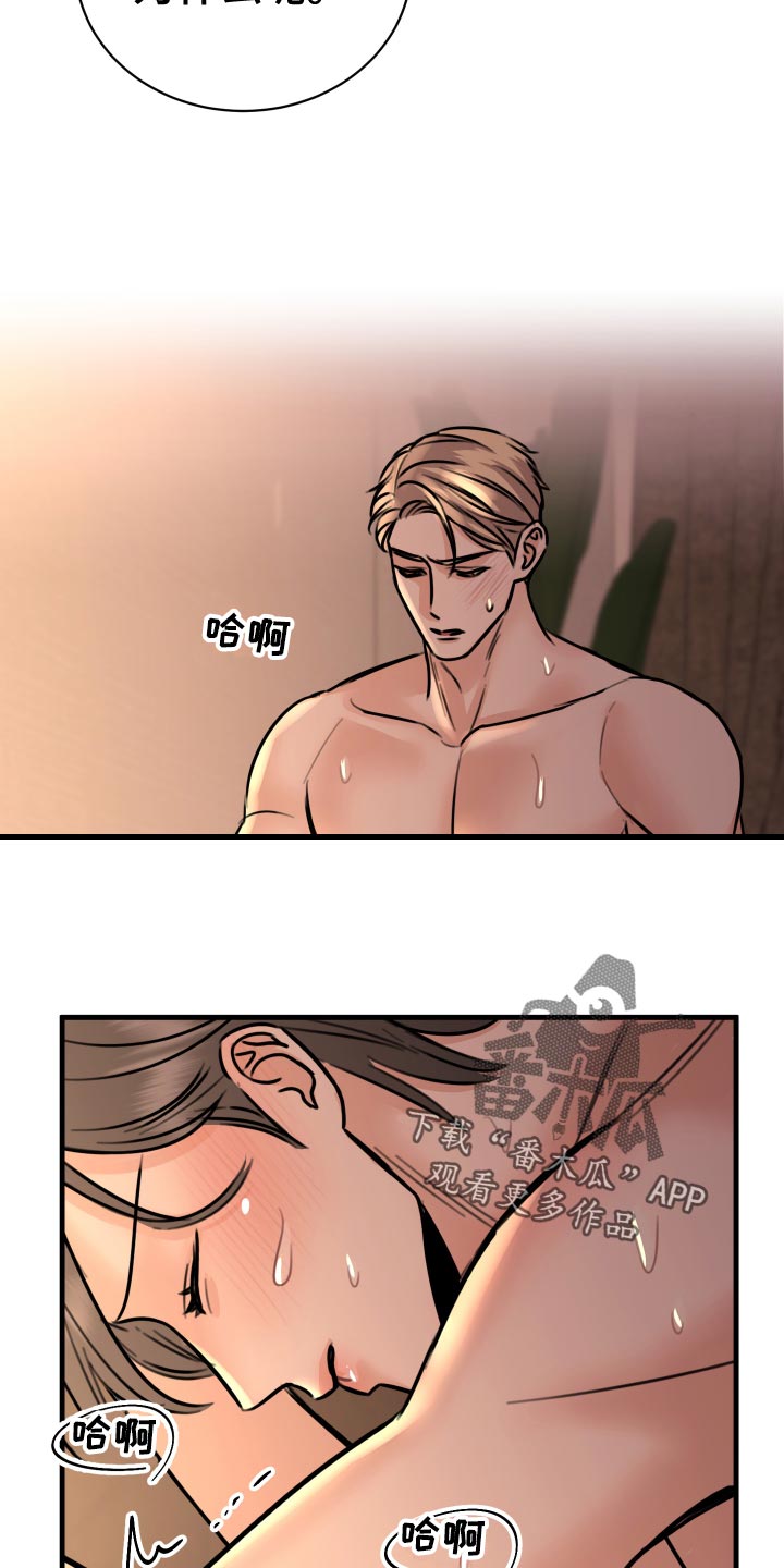 《复仇恋情》第37章上钩 第18页