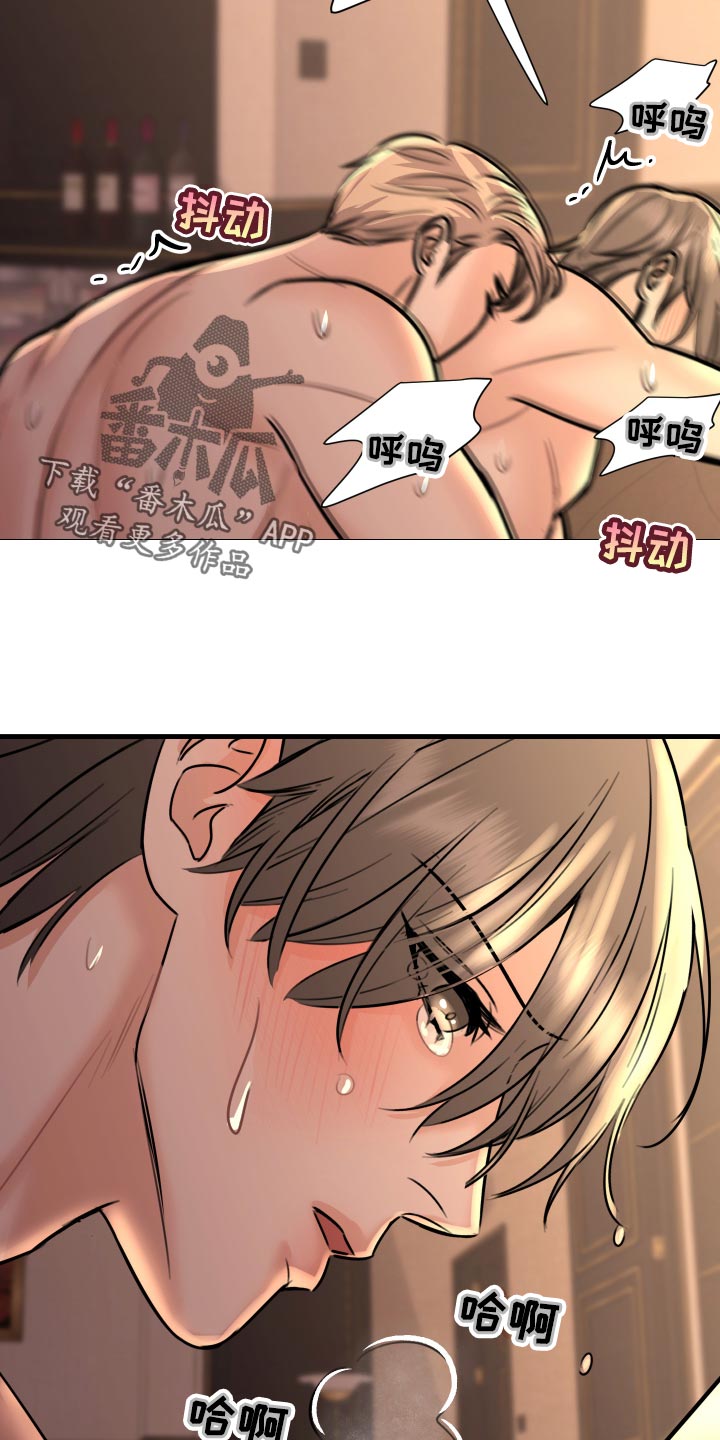 《复仇恋情》第37章上钩 第20页