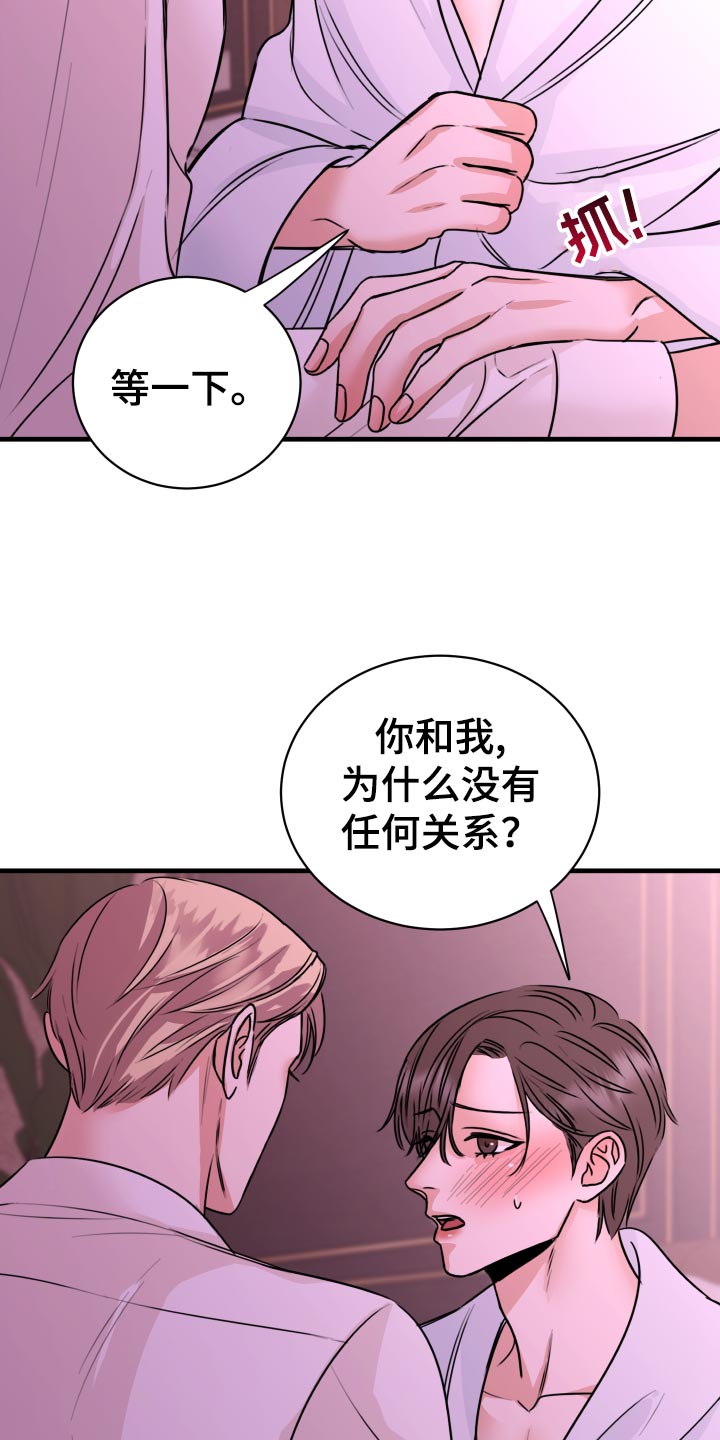 《复仇恋情》第30章没有任何关系 第13页