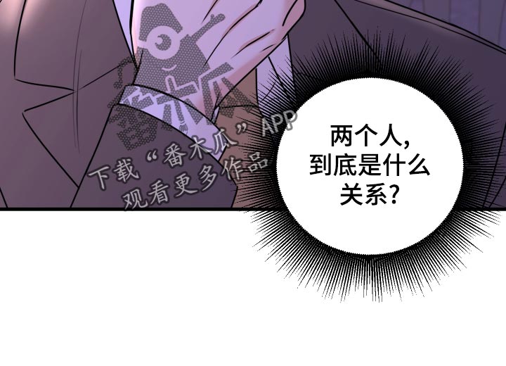 《复仇恋情》第29章选择 第25页