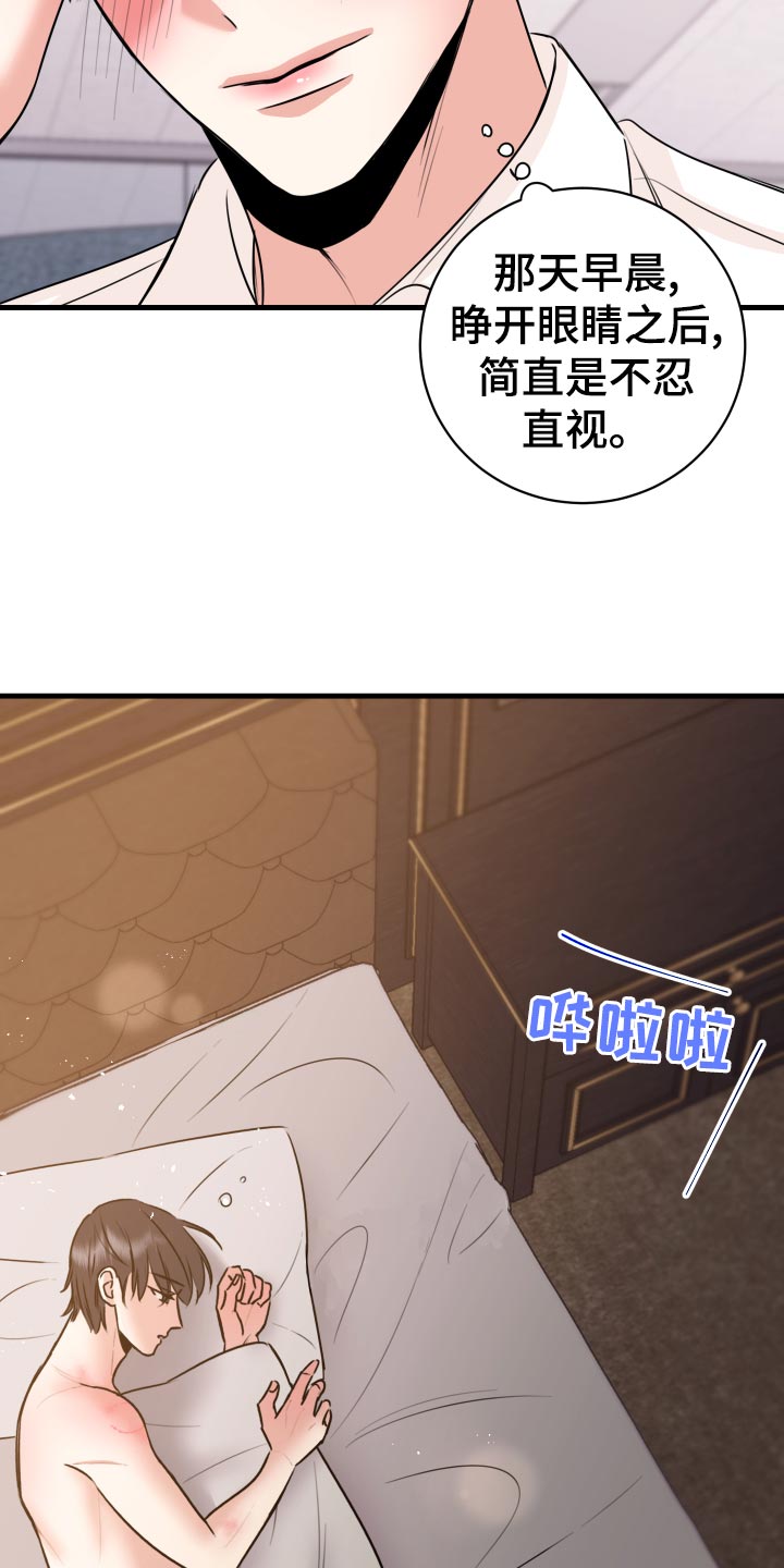 《复仇恋情》第32章怎么面对 第13页