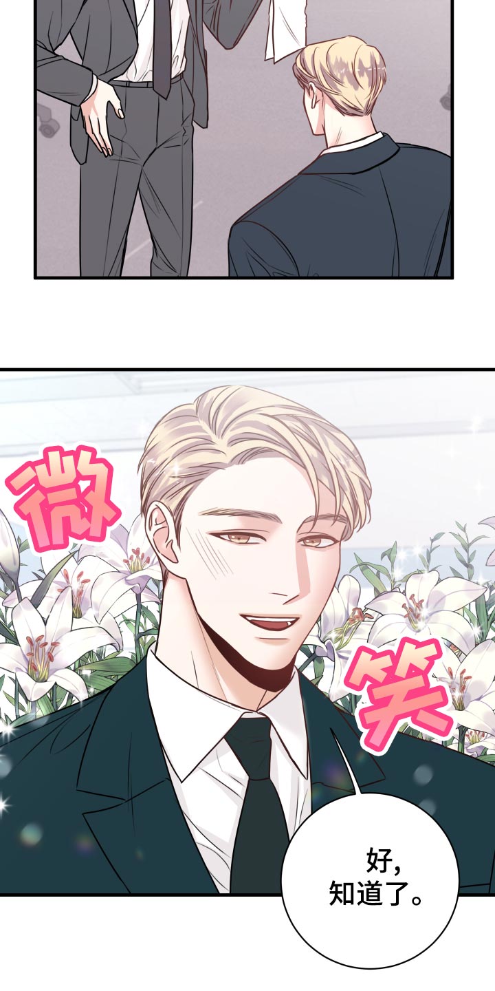 《复仇恋情》第25章撩人手段 第12页