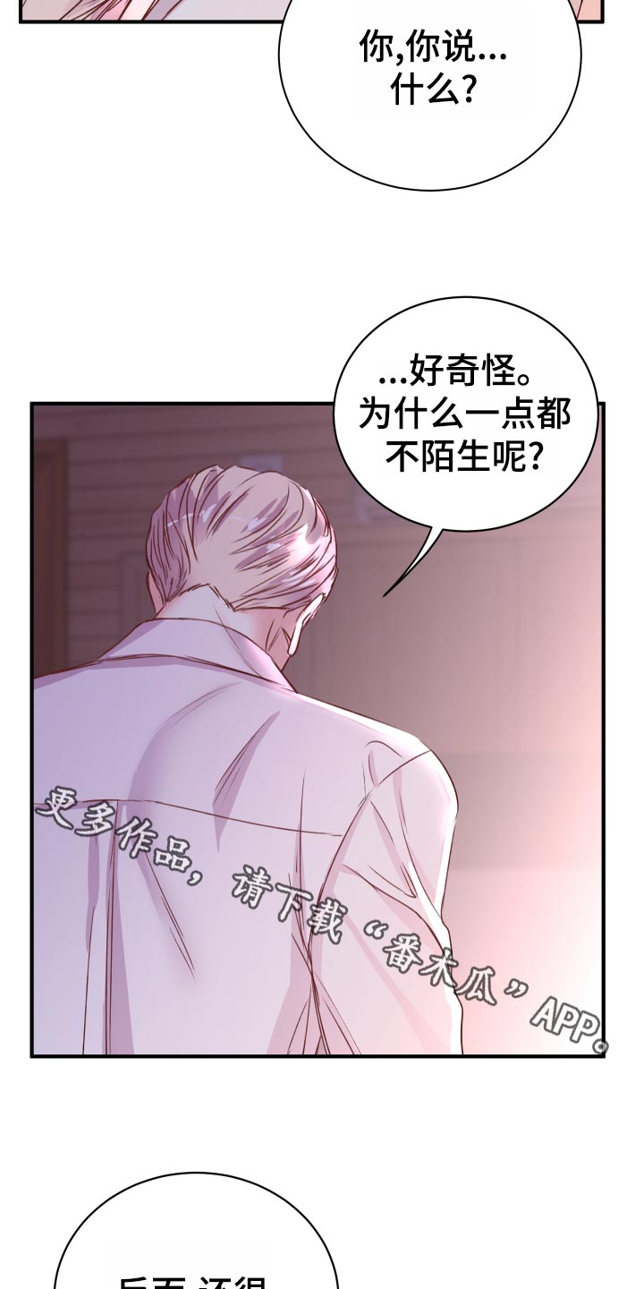 《复仇恋情》第21章偷吻的惩罚 第7页