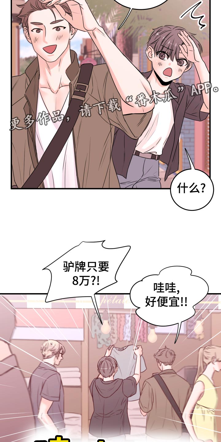 《复仇恋情》第22章假货 第17页