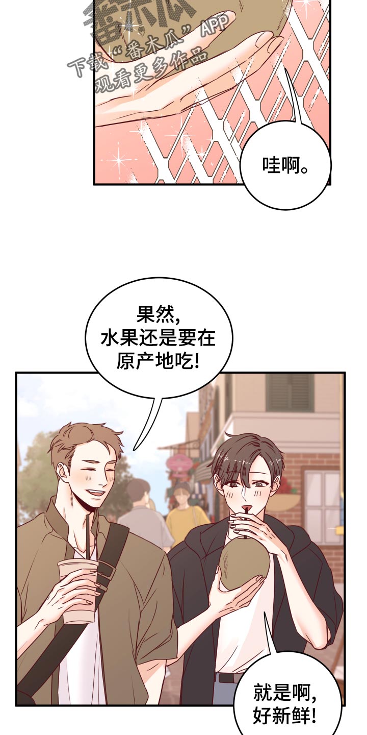 《复仇恋情》第22章假货 第2页