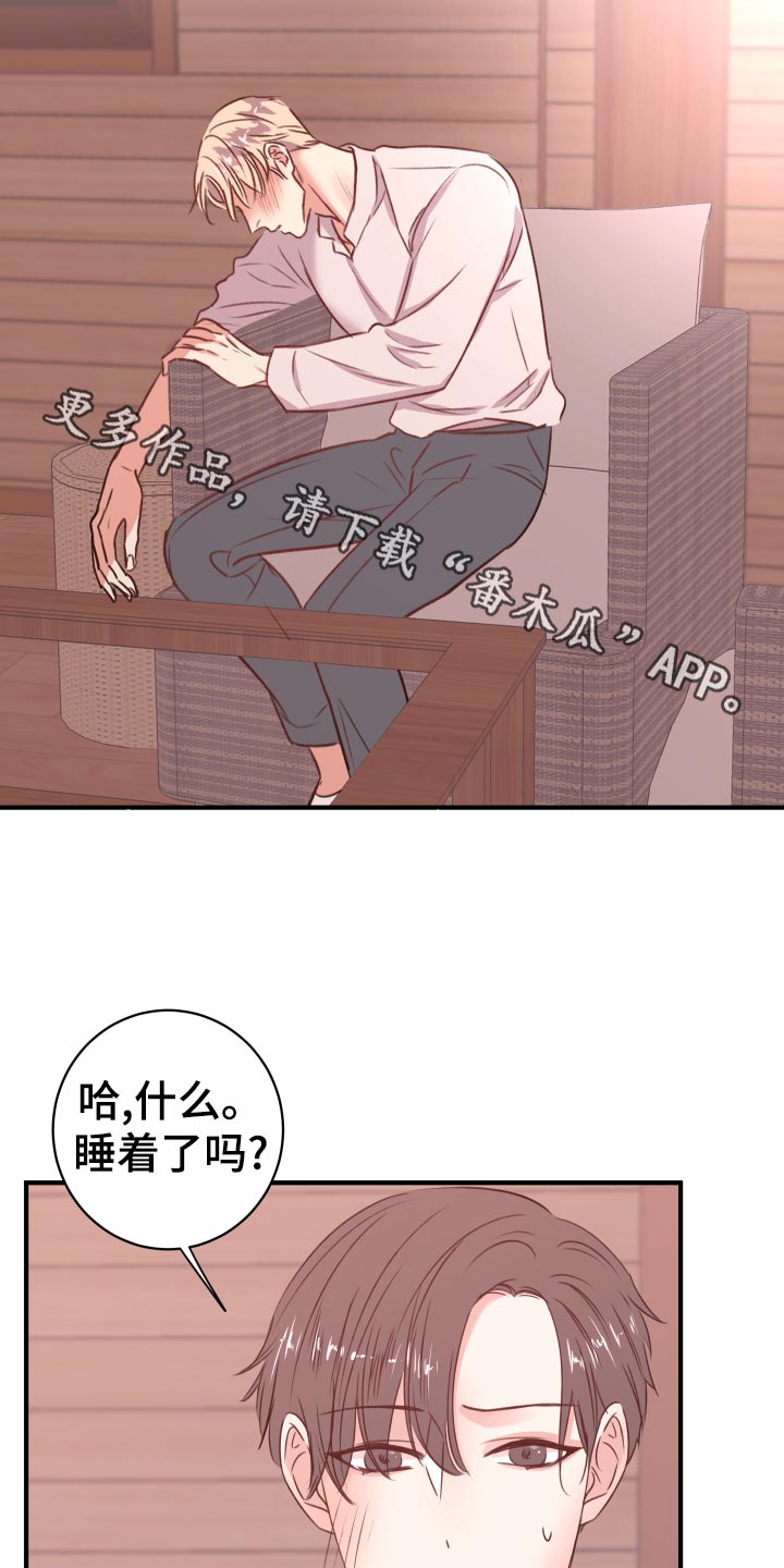 《复仇恋情》第20章担心 第17页