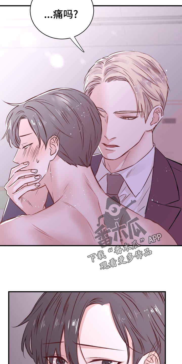 《复仇恋情》第17章换衣服 第11页